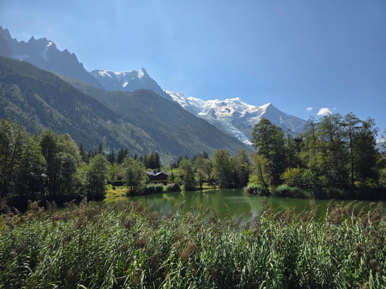 Alpine Escape Mont Blanc At Your Window *